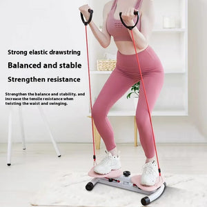 Large Turntable Waist Twister