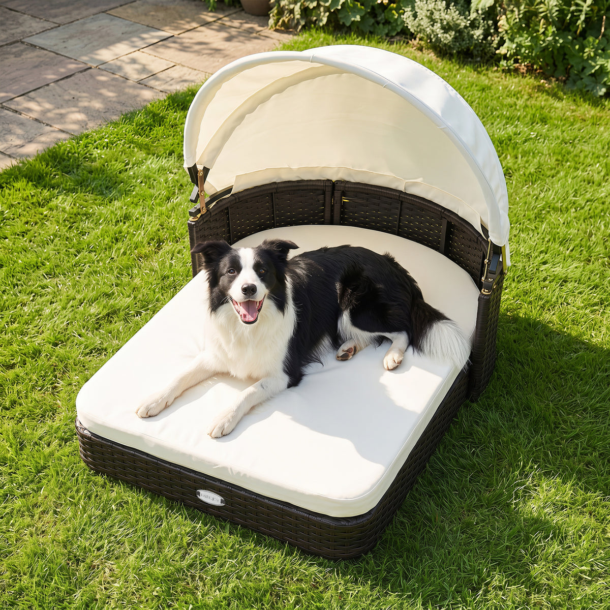 Handwoven Rattan Pet Daybed with 2 Detachable Soft Cushions for Small and Medium Dogs-White