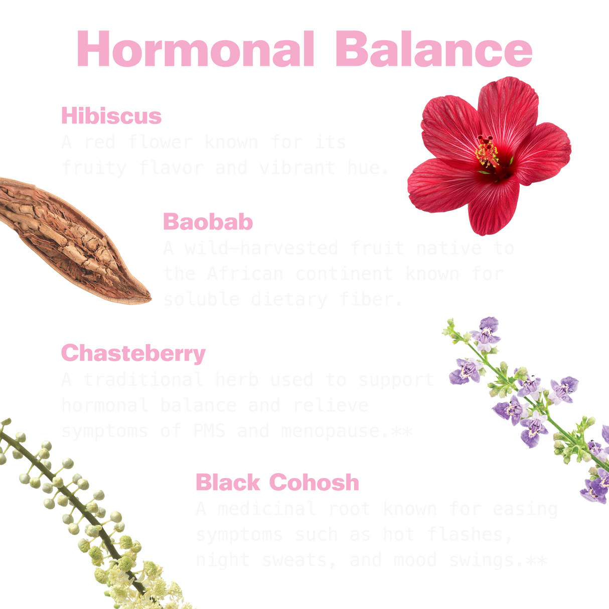 Her Power Superfood Drink Mix