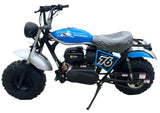 TrailMaster Hurricane 200X PRO Mini Bike, 208cc 7.5hp with Electric Start, Torque Converter, Dual Disc Brakes, Front & Rear Suspension, LED Headlight