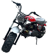 TrailMaster Hurricane 200X PRO Mini Bike, 208cc 7.5hp with Electric Start, Torque Converter, Dual Disc Brakes, Front & Rear Suspension, LED Headlight