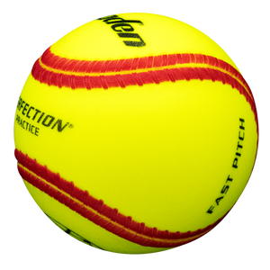 Ballistic Fast pitch Batting Practice Training Softball  