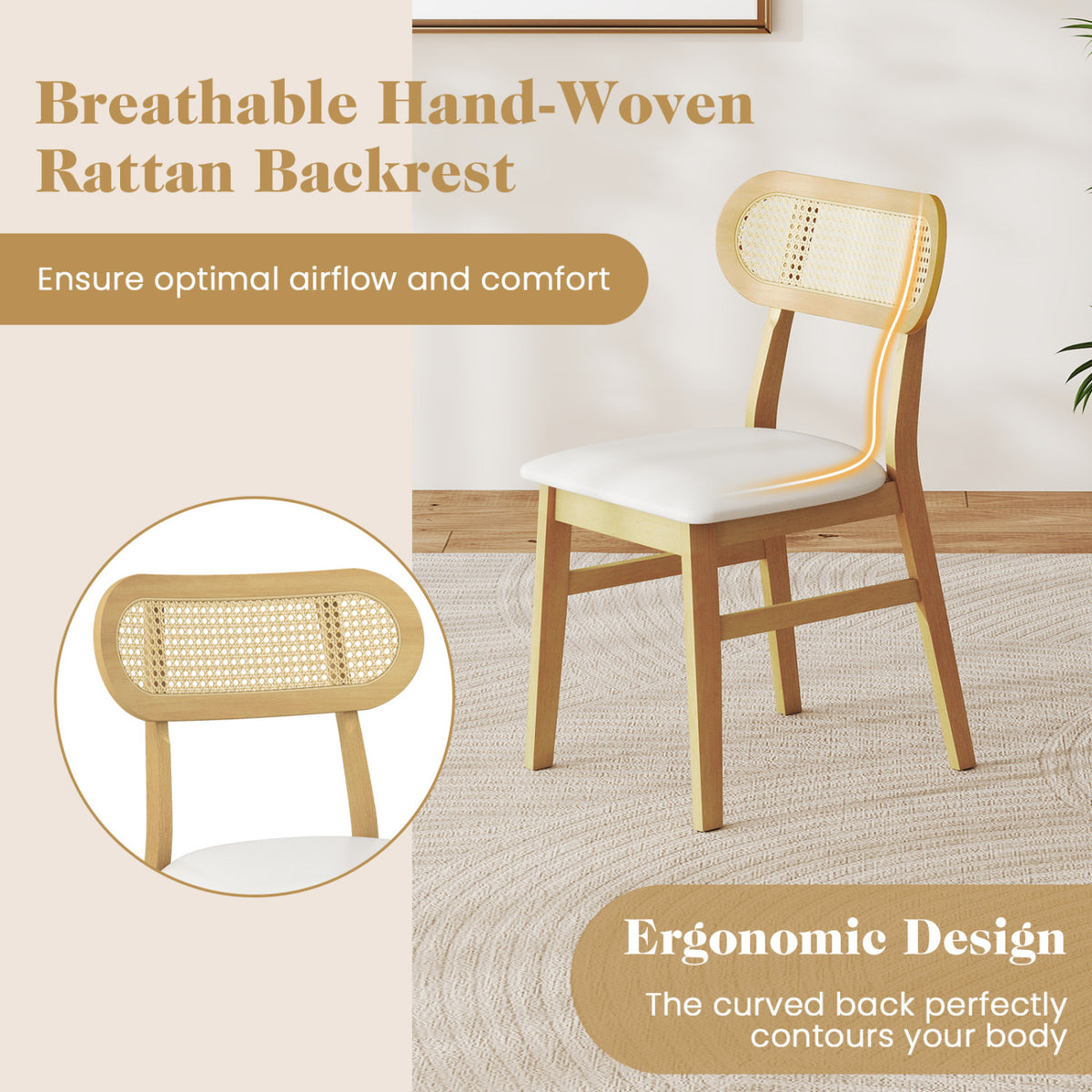 Indoor Mid Century Wood Dining Chairs Set of 2  for Dining Room-White