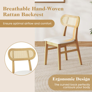 Indoor Mid Century Wood Dining Chairs Set of 2  for Dining Room-White