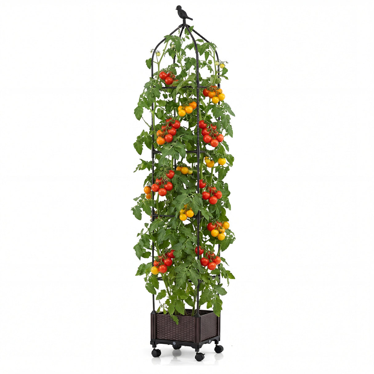 Indoor Outdoor Raised Garden Bed with Trellis and Self-Drainage and Wheels-Black