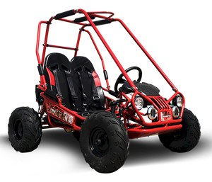 TrailMaster MINI XRX+ Kids Go Kart, 5.5hp Gas Engine with Electric Start, Remote Start/Kill, Ages 4-9