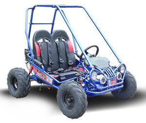 TrailMaster MINI XRX+ Kids Go Kart, 5.5hp Gas Engine with Electric Start, Remote Start/Kill, Ages 4-9