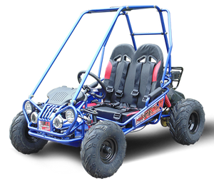 TrailMaster MINI XRX+ Kids Go Kart, 5.5hp Gas Engine with Electric Start, Remote Start/Kill, Ages 4-9