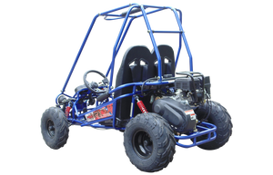 TrailMaster MINI XRX+ Kids Go Kart, 5.5hp Gas Engine with Electric Start, Remote Start/Kill, Ages 4-9