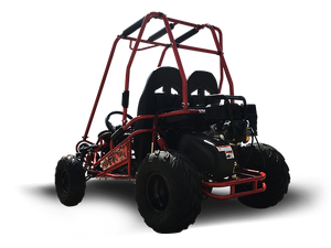 TrailMaster MINI XRX+ Kids Go Kart, 5.5hp Gas Engine with Electric Start, Remote Start/Kill, Ages 4-9