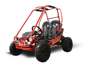 TrailMaster MINI XRX+ Kids Go Kart, 5.5hp Gas Engine with Electric Start, Remote Start/Kill, Ages 4-9