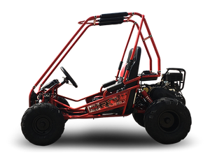 TrailMaster MINI XRX+ Kids Go Kart, 5.5hp Gas Engine with Electric Start, Remote Start/Kill, Ages 4-9