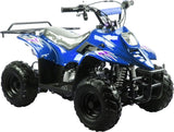 TrailMaster Mini Sport ATV 110, Gas Engine with Remote Start/Kill, Speed Governor, 6-inch Wheels