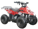 TrailMaster Mini Sport ATV 110, Gas Engine with Remote Start/Kill, Speed Governor, 6-inch Wheels