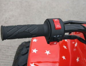 TrailMaster Mini Sport ATV 110, Gas Engine with Remote Start/Kill, Speed Governor, 6-inch Wheels