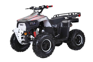 Lander-XD 125UF 125cc Utility ATV, Automatic with Reverse, 8-inch Wheels, Ages 9-12