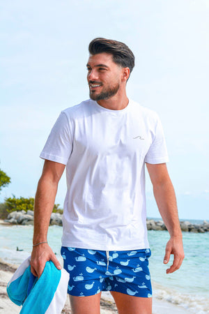 Blue Whale by Bermies