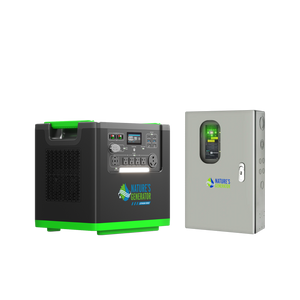 Nature's Generator Lithium 6000 and Transfer Switch