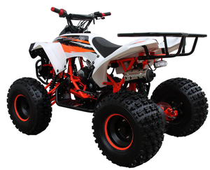 Coolster (3125B2) 125cc Sport ATV, Electric Start, Automatic with Reverse, 8-inch Steel Wheels, Ages 9-12