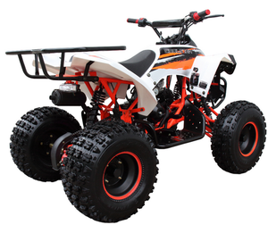Coolster (3125B2) 125cc Sport ATV, Electric Start, Automatic with Reverse, 8-inch Steel Wheels, Ages 9-12