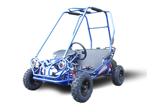 TrailMaster MINI XRS+ Kids Go Kart, 5.5hp Gas Engine, Dual Seats, Adjustable Pedals, Pull Start, Kids Ages 4-9