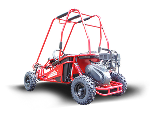 TrailMaster MINI XRS+ Kids Go Kart, 5.5hp Gas Engine, Dual Seats, Adjustable Pedals, Pull Start, Kids Ages 4-9