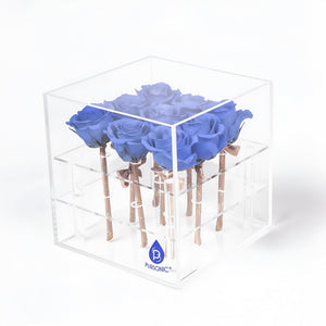 9 Preserved Roses in Acrylic Box: 100% Real Natural Roses That Last Over 1 Year