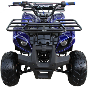 Mini 125cc Utility Style ATV, Electric Start, Automatic with Reverse, 7-inch Wheels, Ages 9-12