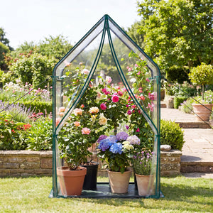Mini Green House Metal Frame with Waterproof Bottom Mat and Wind Ropes-L