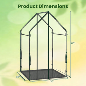 Mini Green House Metal Frame with Waterproof Bottom Mat and Wind Ropes-L