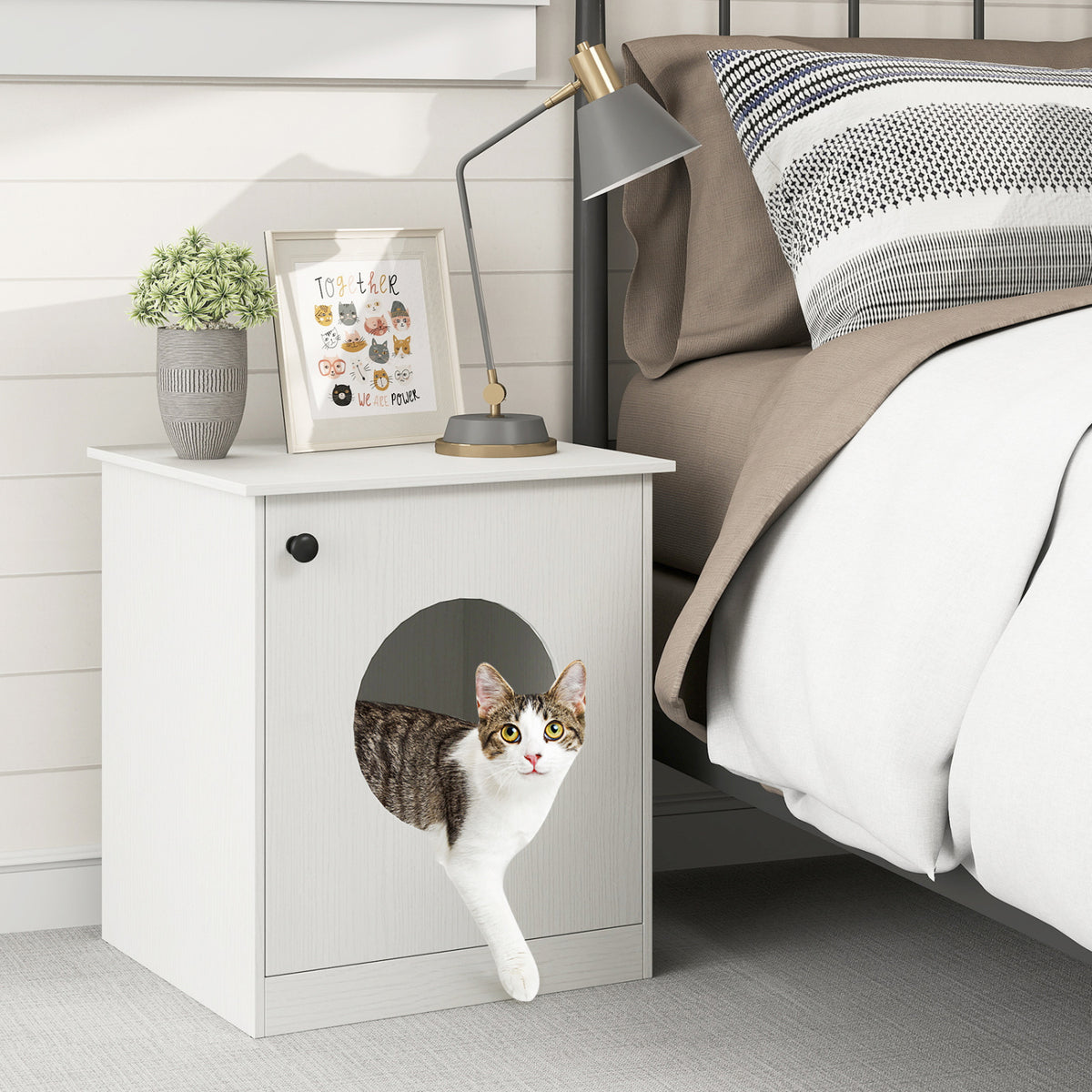Modern Cat Litter Box Enclosure for Small to Large Cats-White