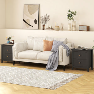 Modern Nightstand with 2 Drawers for Small Spaces-Black