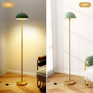 Modern Standing Lamp with Lamp Head and Foot Switch