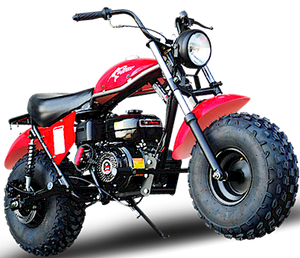 TrailMaster Monster Dog II Mini Bike, 208cc 7.5hp with Torque Converter, Rear Hydraulic Disc Brake