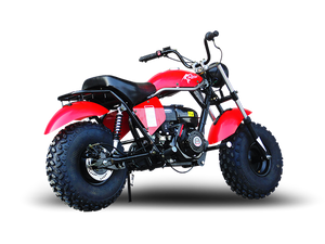 TrailMaster Monster Dog II Mini Bike, 208cc 7.5hp with Torque Converter, Rear Hydraulic Disc Brake
