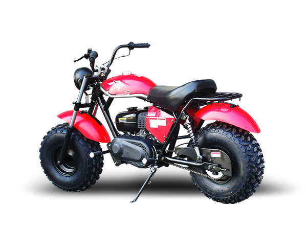 TrailMaster Monster Dog II Mini Bike, 208cc 7.5hp with Torque Converter, Rear Hydraulic Disc Brake