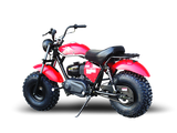 TrailMaster Monster Dog II Mini Bike, 208cc 7.5hp with Torque Converter, Rear Hydraulic Disc Brake