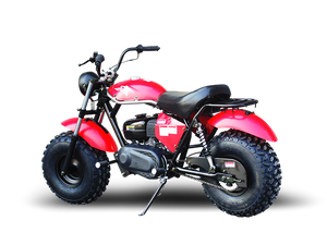 TrailMaster Monster Dog II Mini Bike, 208cc 7.5hp with Torque Converter, Rear Hydraulic Disc Brake