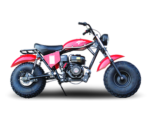 TrailMaster Monster Dog II Mini Bike, 208cc 7.5hp with Torque Converter, Rear Hydraulic Disc Brake