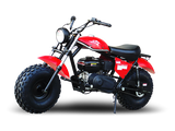 TrailMaster Monster Dog II Mini Bike, 208cc 7.5hp with Torque Converter, Rear Hydraulic Disc Brake
