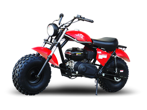 TrailMaster Monster Dog II Mini Bike, 208cc 7.5hp with Torque Converter, Rear Hydraulic Disc Brake