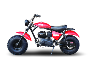 TrailMaster Monster Dog II Mini Bike, 208cc 7.5hp with Torque Converter, Rear Hydraulic Disc Brake