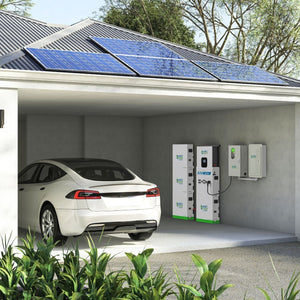 MyGrid 10K with Transfer Switch for House Battery Backup