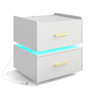Nightstand with Charging Station LED Bedside Table with 2 Storage Drawers-White