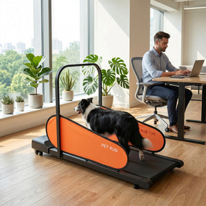 Pet Treadmill for Small & Medium Dogs with LED Display and Adjustable Speed-Black