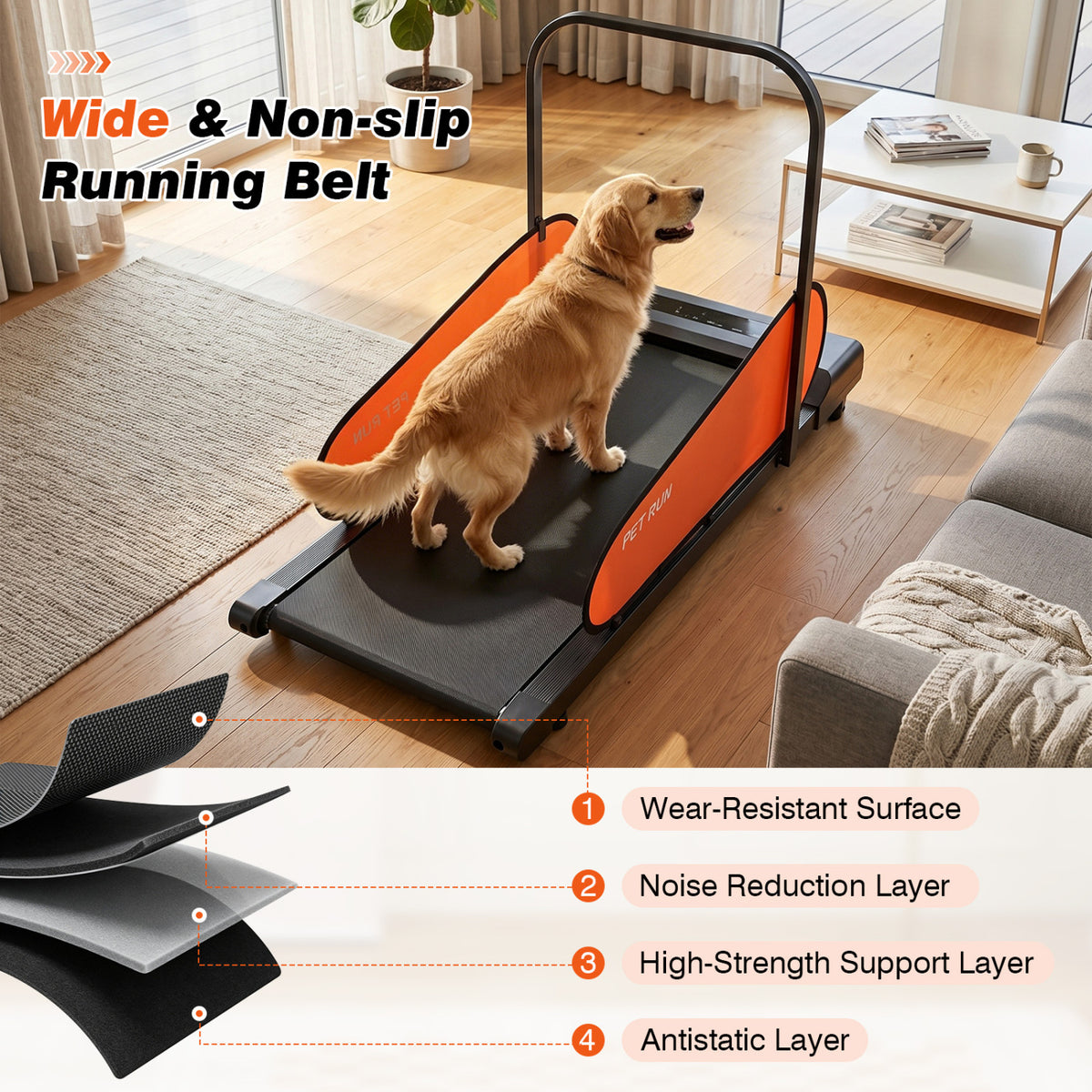 Pet Treadmill for Small & Medium Dogs with LED Display and Adjustable Speed-Black