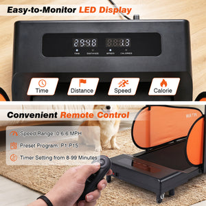 Pet Treadmill for Small & Medium Dogs with LED Display and Adjustable Speed-Black