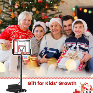 Portable Basketball Hoop Adjustable Basketball Goal System