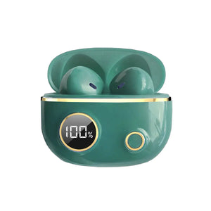 Fancy High Definition Earbuds