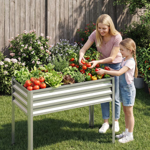 Raised Garden Bed Set of 2 Electro-Coating Metal Large Elevated Planter Box-Silver
